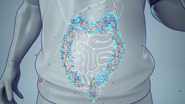illustration of an athlete's gut microbiome