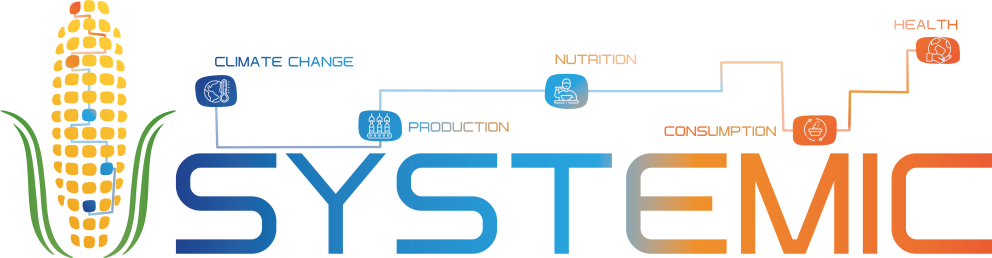 SYSTEMIC logo